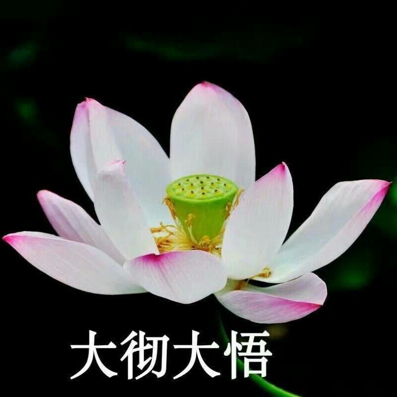 。